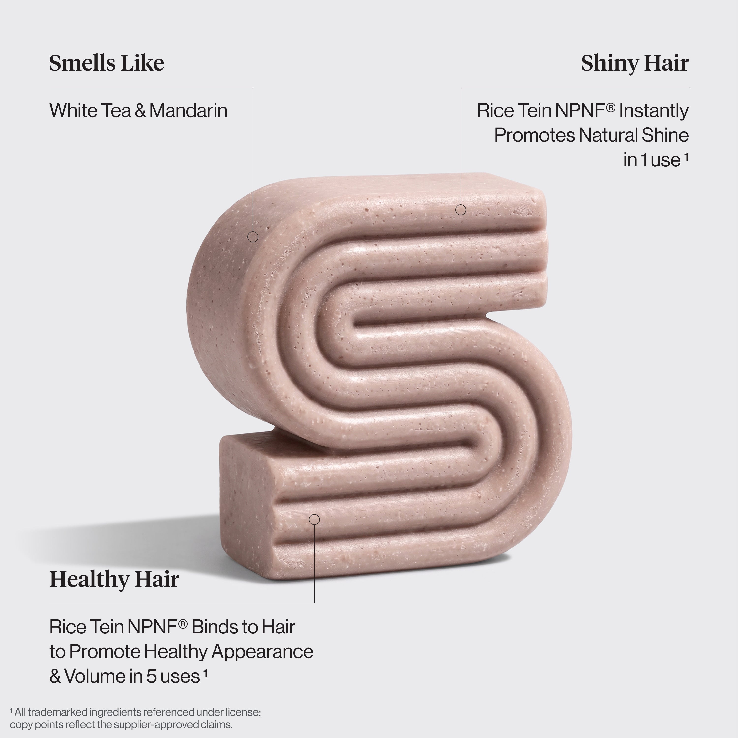 Rice Water Shampoo & Conditioner, Kojic Acid Wash, FREE Terracotta Soap Dish & FREE Shipping